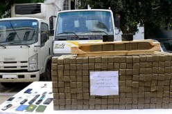 توقيف عصابة تتاجر في المخدرات تنشط بغرب ووسط البلاد