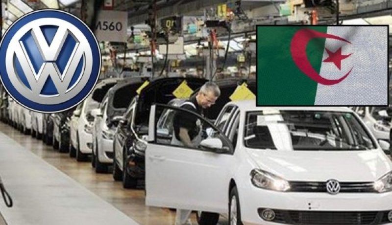 إيبيزا.. فابيا وبولو MADE ALGERIE