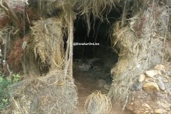 توقيف عنصري دعم وتدمير 6 مخابئ للإرهاب بها متفجرات في باتنة