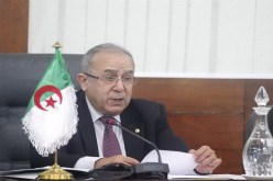 الإرهاب أصبح يخترق حدود دول الساحل بسهولة