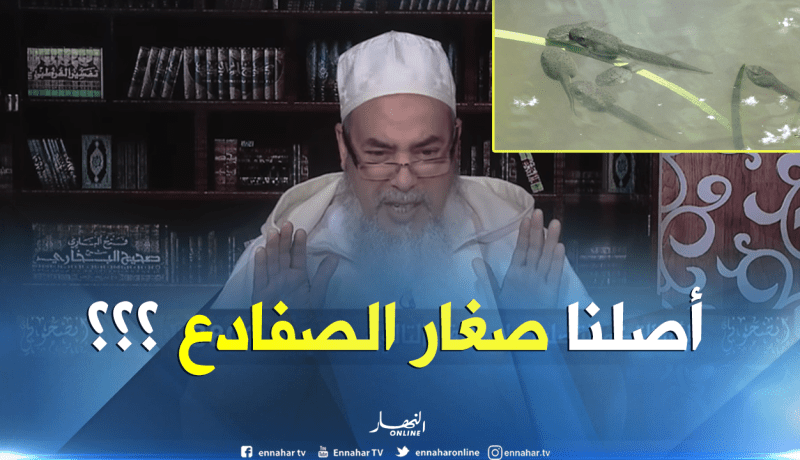 الشيخ شمس الدين “هذا هو أصل خلق الانسان”