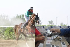 108 مليارراحت قمار بالخروبة