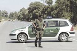 وزارة الدفاع: ارتفاع حصيلة عملية تين زواتين الى القضاء على 12 ارهابيا