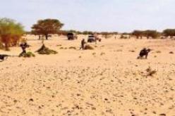 مفرزة للجيش لتينزواتين توقف 8 إرهابيين قرب مالي