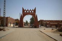 تمنراست تشرع في  تفعيل جهاز الترصد والكشف المبكر لفيروس أيبولا بالمناطق الحدودية