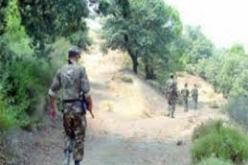 توقيف إرهابيين ببلدية بوزغان شرق مدينة تيزي وزو