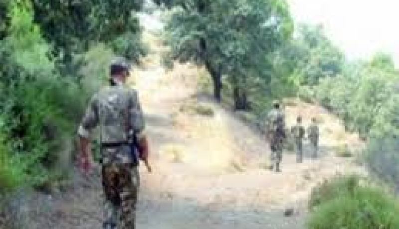توقيف إرهابيين ببلدية بوزغان شرق مدينة تيزي وزو
