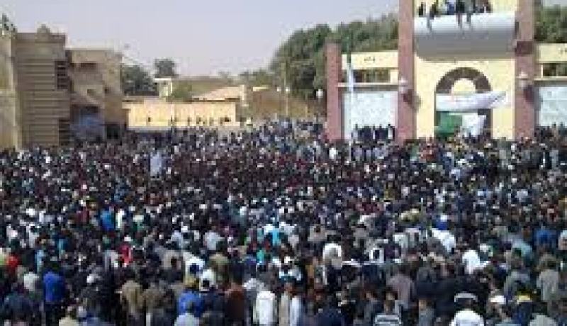 عشرات من الشباب البطال بورقلة ينظمون وقفة إحتجاجية