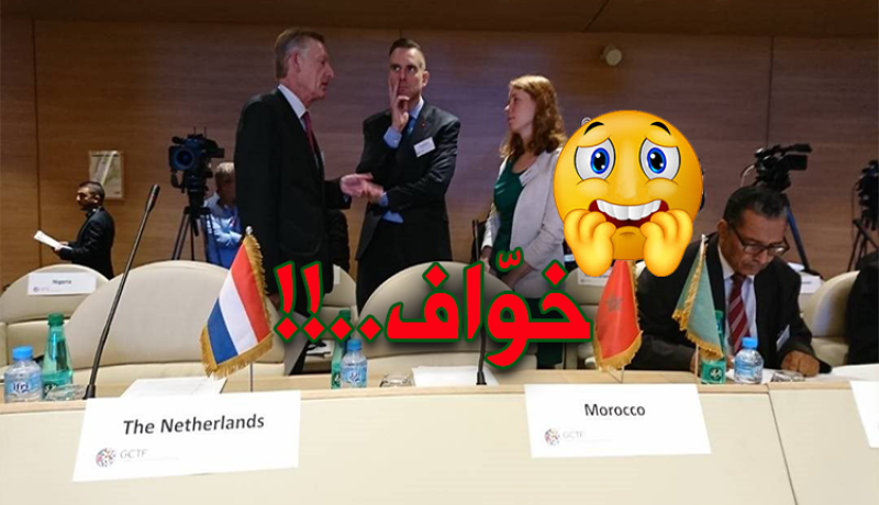 أحمد ميزاب.. المخزن “خوّاف” لا يواجه الحقيقة بالمحافل الدولية