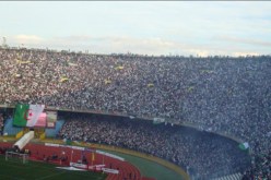 القصة الكاملة لمقتل “فرحات” مناصر الخضر في مونديال 2010