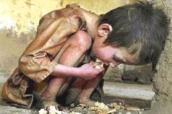 أزمة غذائية عالمية  والجزائر  كعادتها- في مأمن