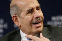 البرادعي يحث المصريين برفض الدستور