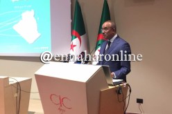 بدوي: سنعمل على توسيع شراكة دائمة مع فرنسا