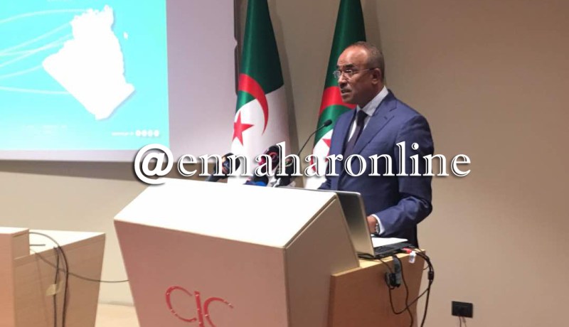 بدوي: سنعمل على توسيع شراكة دائمة مع فرنسا