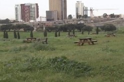 إنطلاق أشغال تهيئة حوض بحيرة منتزه دنيا بارك بالعاصمة