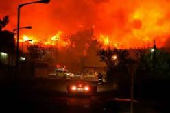 الإحتلال الصهيوني يعتقل 14 فلسطينيا بتهمة إشعال الحرائق