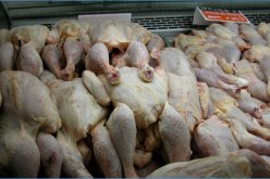 حجز 22 قنطار من اللحوم البيضاء غير صالحة للاستهلاك بسطيف