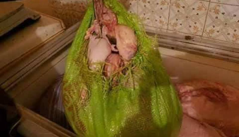 حجز 6 قناطير من اللحوم الفاسدة كانت الموجهة للبيع بباتنة