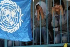 بلجيكا ترد على إدارة ترامب.. وتصرف الملايين!