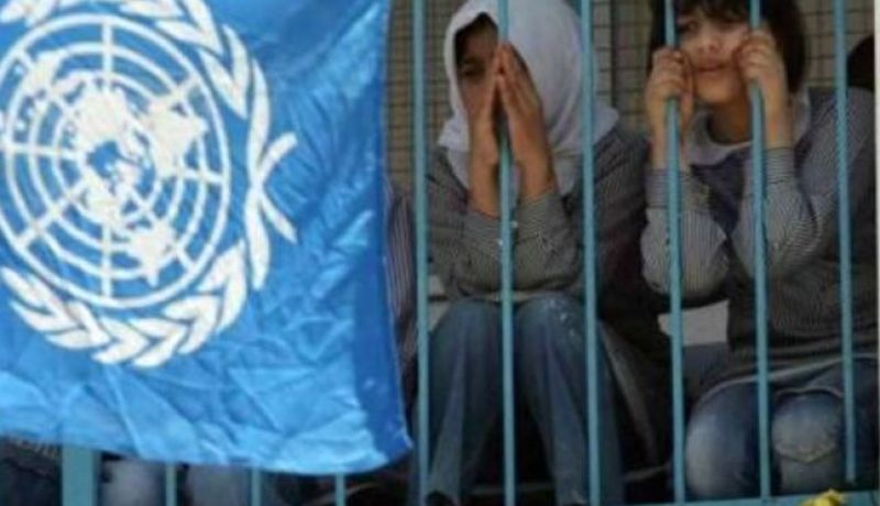 بلجيكا ترد على إدارة ترامب.. وتصرف الملايين!