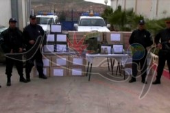 شرطة تلمسان تحجز 12 قنطار من الكيف المعالج