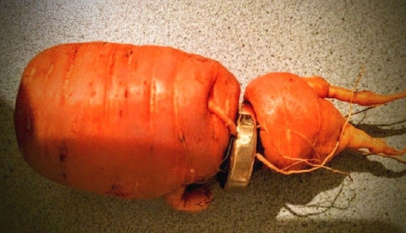 بعد 3 سنوات.. الطبيعة تعيد لرجل شيئا عزيزا عليه كان فقده