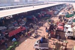 16 مليار دج قيمة انجاز ثمانية هياكل جديدة لأسواق الجملة للخضر والفواكه