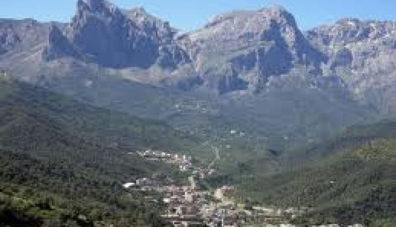 تيزي وزو..محتشد الموت لأقوني نتيزي شاهد على وحشية الاستعمار