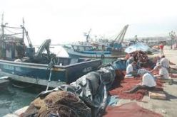 إطلاق تسمية الشهيد علي قادري على مسمكة ميناء الجزائر