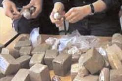 حجز ما يزيد عن 186 طن من القنب الهندي في الجزائر في ظرف 11 شهرا