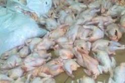 حجز أكثر من 16 قنطارا من اللحوم البيضاء الفاسدة بسوق أهراس