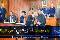 بالصور.. إتفاقيات بين وزارة الشباب وأربع إتحاديات بينها “الفاف”