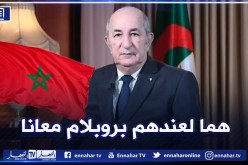 الرئيس تبون: ليس لدينا مشكل مع المغرب ولكن المغرب من لديه مشكل معنا