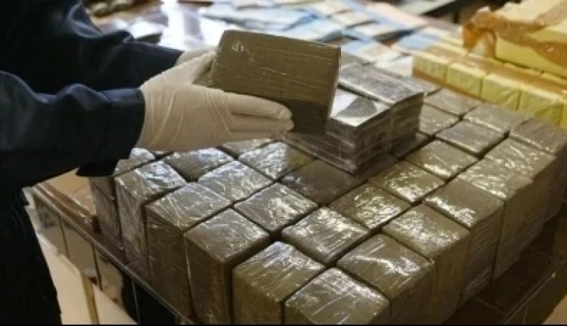 حجز 785 كلغ من الكيف المعالج في تلمسان قادمة من المغرب