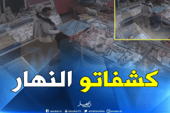  بالفيديو… الإطاحة بسارق البوشي في البليدة