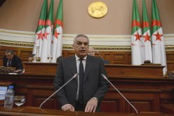 شروط جديدة للحصول على البيـرمــي» والعلبة السـوداء إجباريـة للحافـلات