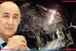 الرئيس تبون يأمر بإعداد مشروع قانون إطار للتوجيه الصناعي وإحصاء الثروات المنجمية الوطنية