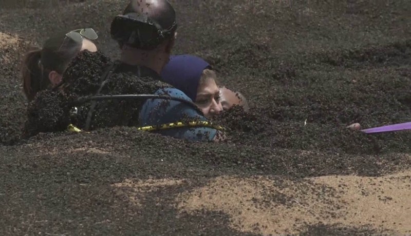 بعد شعورها بضيق في التنفس..رامز جلال يطالب بخروج الغطّاس لإنقاذ سهير رمزي