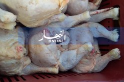 حجز 485 كلغ من اللحوم البيضاء بقسنطينة