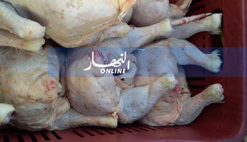 حجز 485 كلغ من اللحوم البيضاء بقسنطينة