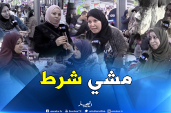 جزائريات بشعار..”أعطيهولي فاهم ولهلا قرا”