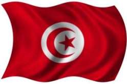 الدستور الجديد لتونس سيكون جاهزا في أكتوبر المقبل