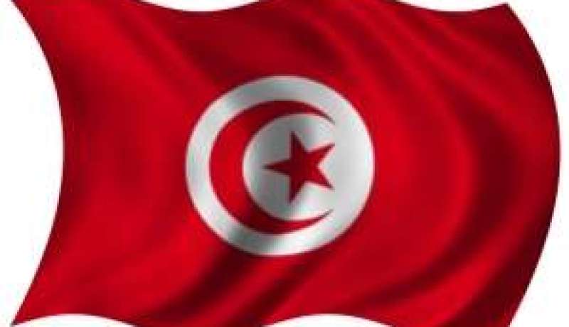 الدستور الجديد لتونس سيكون جاهزا في أكتوبر المقبل