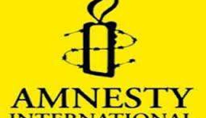 العفو الدولية تدين مسودة الدستور المصري الجديد