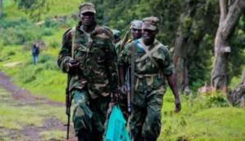 متمردو حركة ام23 يدخلون مدينة غوما
