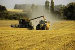 8000 مشروع تنموي ريفي استفادت منها اكثر من مليون عائلة