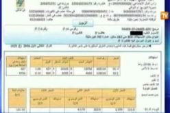 بالفيديو..حكم قضائي يلزم سونلغاز على إصدار الفواتير باللغة العربية
