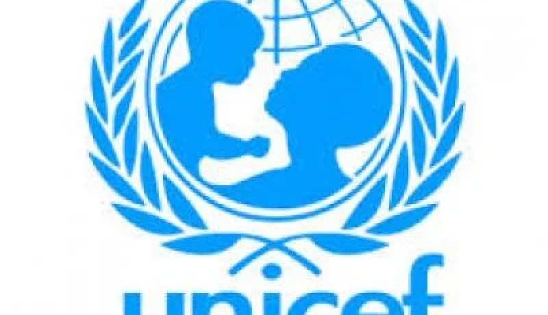 الجزائر و اليونيسف يجددان التزامهما بالتعاون للسنتين المقبلتين