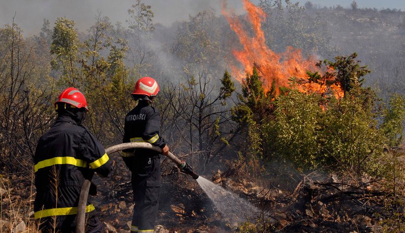 تسجيل 11 حرائق في عدة ولايات من الوطن بسبب ارتفاع درجة الحرارة