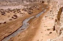 مؤسسة الولايات المتحدة-الصحراء الغربية تدعو الرئيس أوباما إلى استغلال نفوذه للتأثير على المغرب